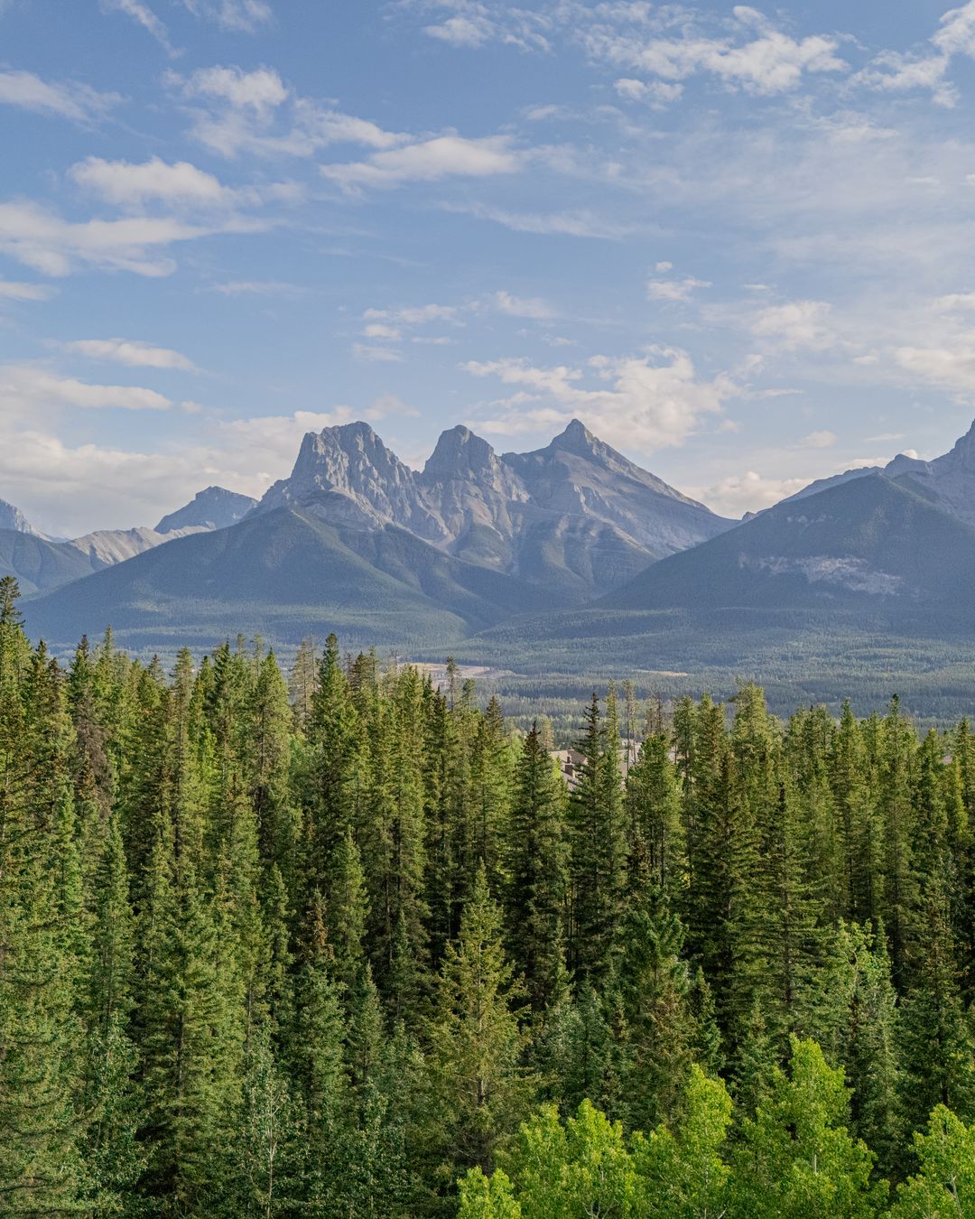 The Three Sisters over the forest, from above the house
